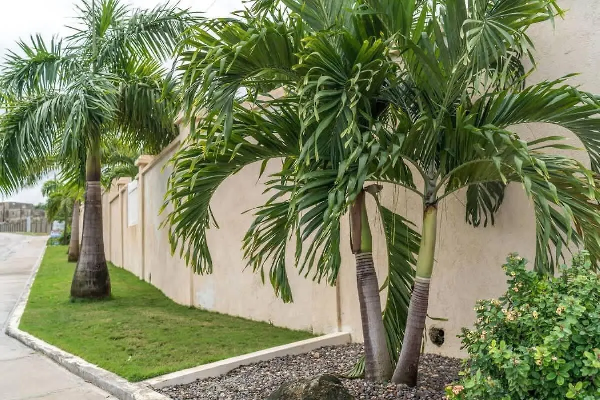 Hospitality Expert Ncb All Pool Beach Montego Bay